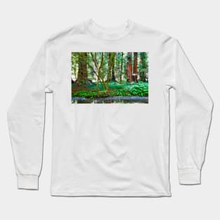 Muir Woods Study 11 Long Sleeve T-Shirt